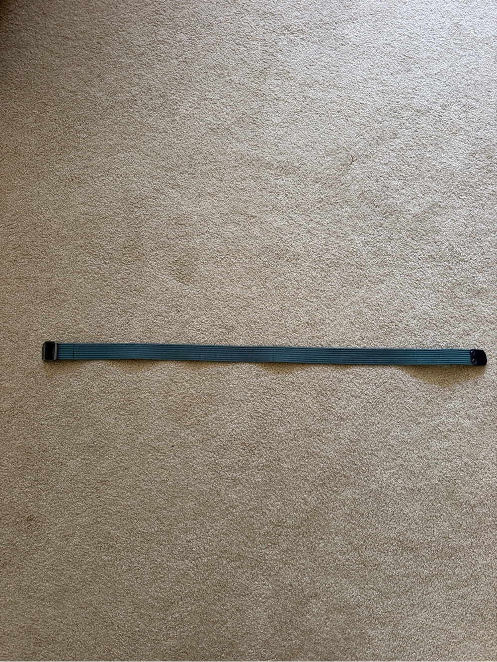 Arc'teryx Teal Stretch Webbing Belt with Black Buckle